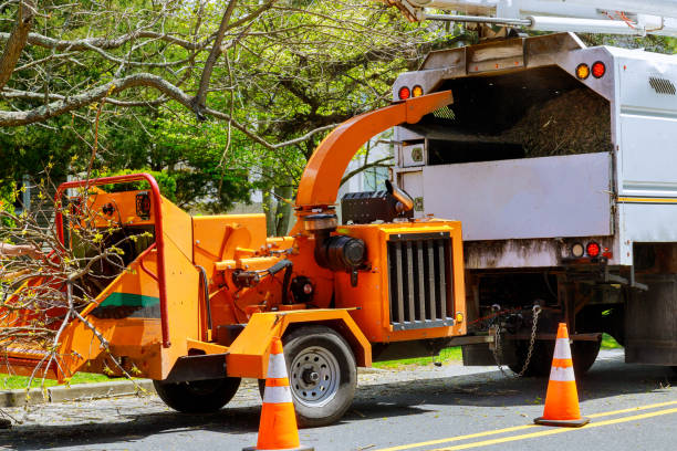 Best Firewood Processing and Delivery  in Oaklyn, NJ